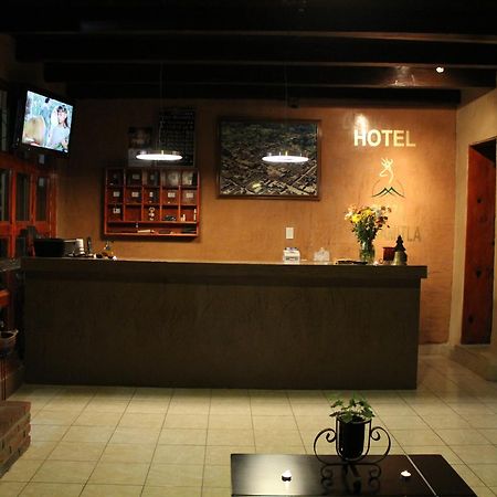 Hotel Plaza Масамитла Екстериор снимка